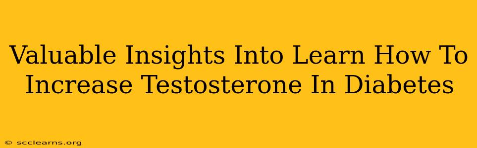 Valuable Insights Into Learn How To Increase Testosterone In Diabetes