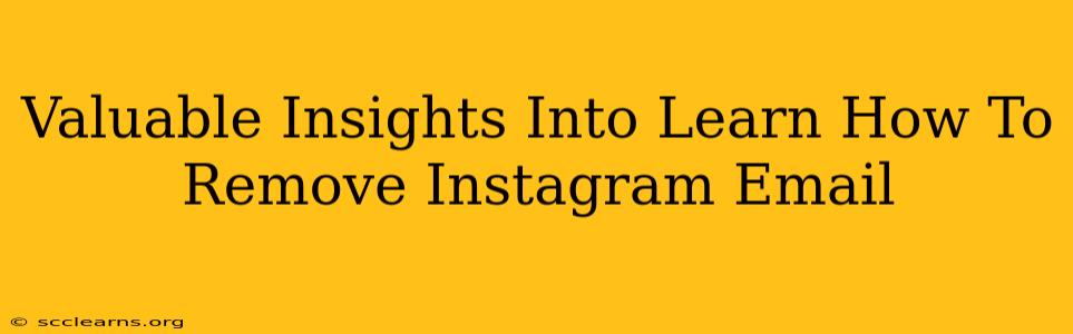 Valuable Insights Into Learn How To Remove Instagram Email