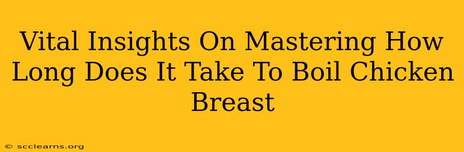 Vital Insights On Mastering How Long Does It Take To Boil Chicken Breast