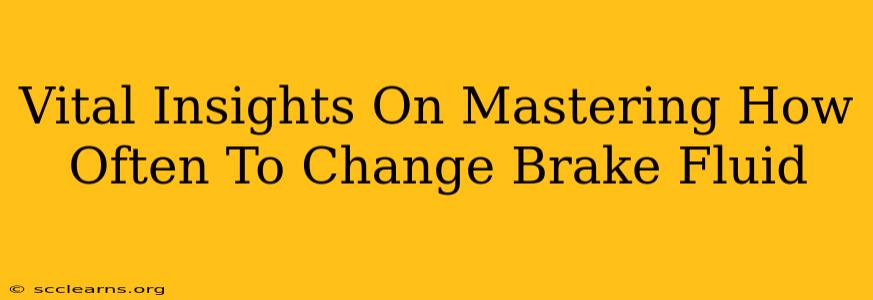 Vital Insights On Mastering How Often To Change Brake Fluid