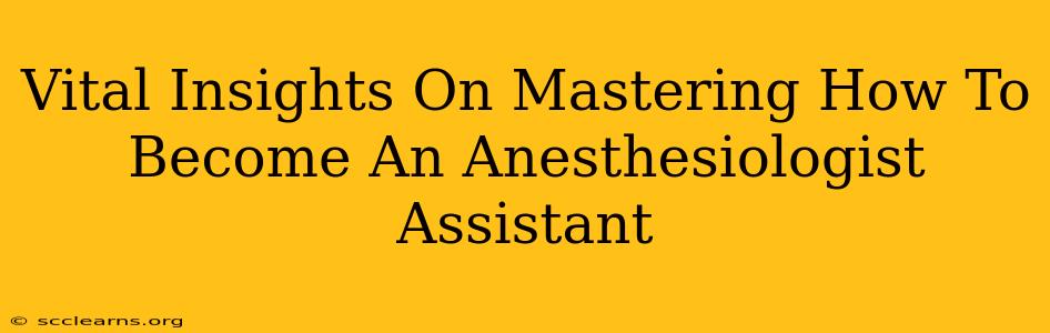 Vital Insights On Mastering How To Become An Anesthesiologist Assistant