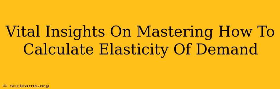 Vital Insights On Mastering How To Calculate Elasticity Of Demand