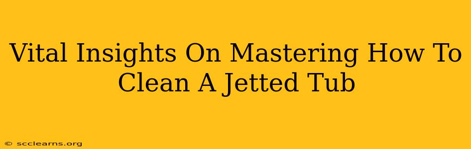 Vital Insights On Mastering How To Clean A Jetted Tub