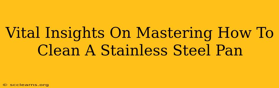 Vital Insights On Mastering How To Clean A Stainless Steel Pan