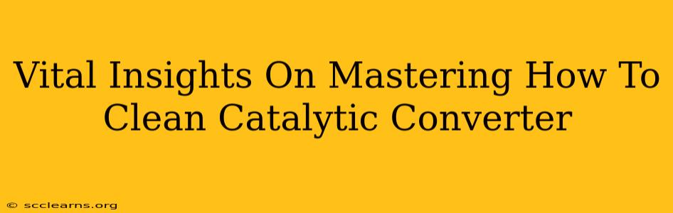 Vital Insights On Mastering How To Clean Catalytic Converter