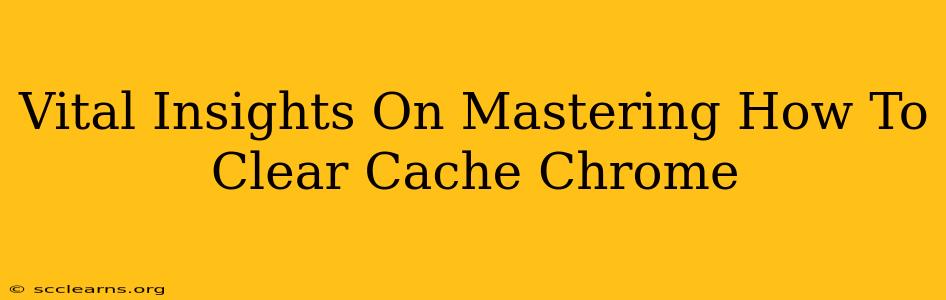 Vital Insights On Mastering How To Clear Cache Chrome