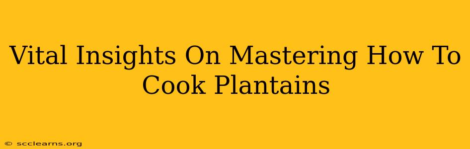 Vital Insights On Mastering How To Cook Plantains