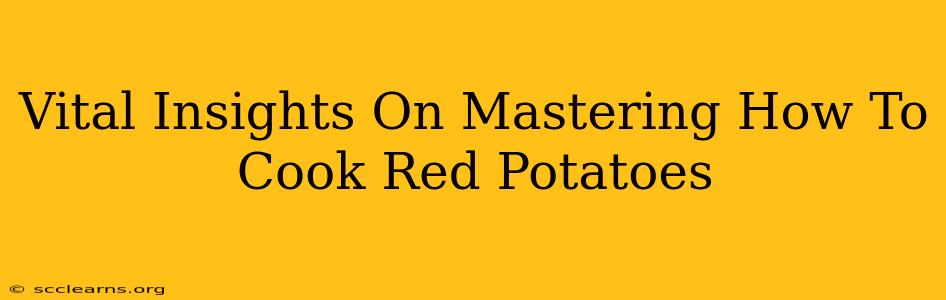 Vital Insights On Mastering How To Cook Red Potatoes