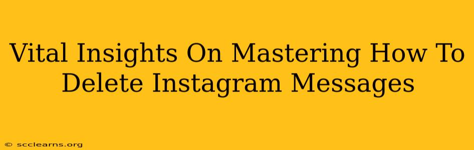 Vital Insights On Mastering How To Delete Instagram Messages