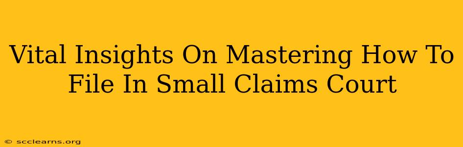 Vital Insights On Mastering How To File In Small Claims Court