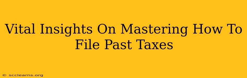 Vital Insights On Mastering How To File Past Taxes