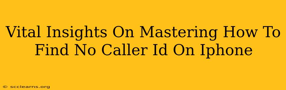 Vital Insights On Mastering How To Find No Caller Id On Iphone