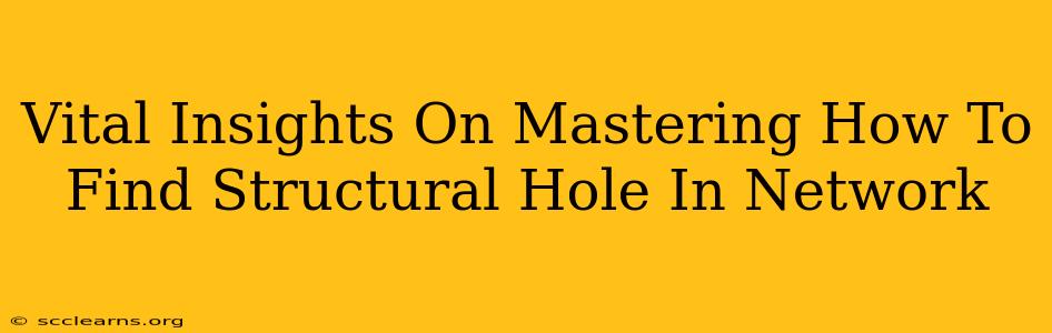 Vital Insights On Mastering How To Find Structural Hole In Network