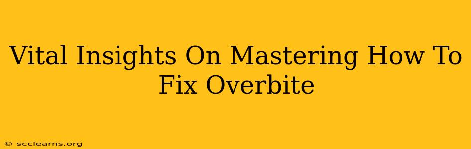 Vital Insights On Mastering How To Fix Overbite