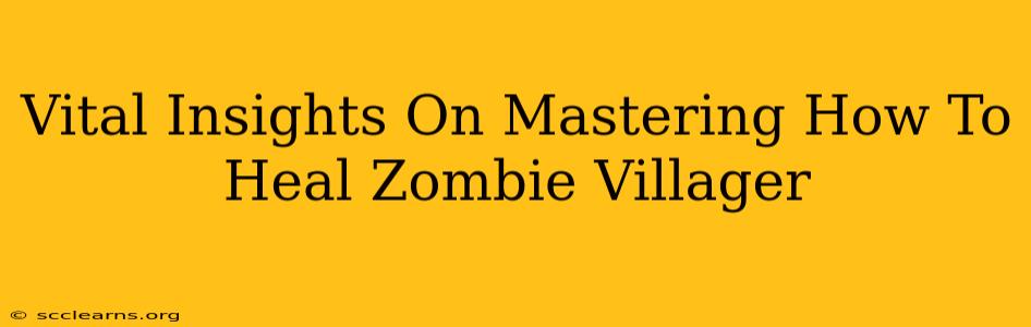 Vital Insights On Mastering How To Heal Zombie Villager