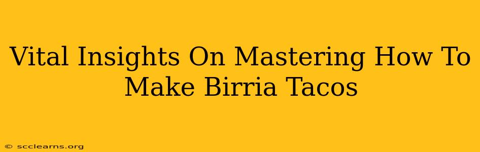 Vital Insights On Mastering How To Make Birria Tacos