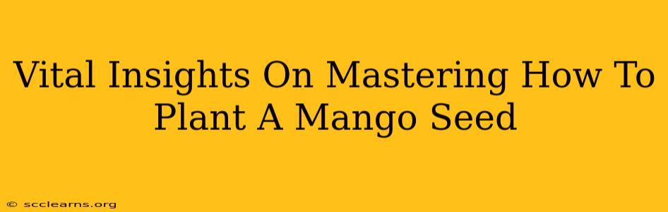 Vital Insights On Mastering How To Plant A Mango Seed