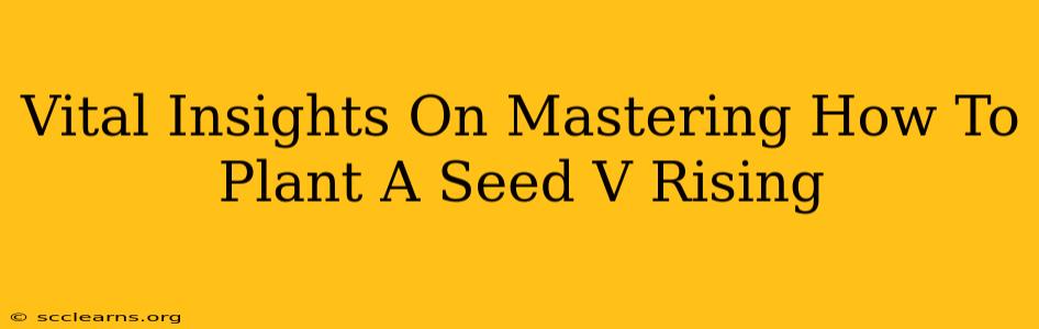 Vital Insights On Mastering How To Plant A Seed V Rising