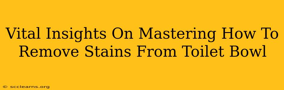 Vital Insights On Mastering How To Remove Stains From Toilet Bowl