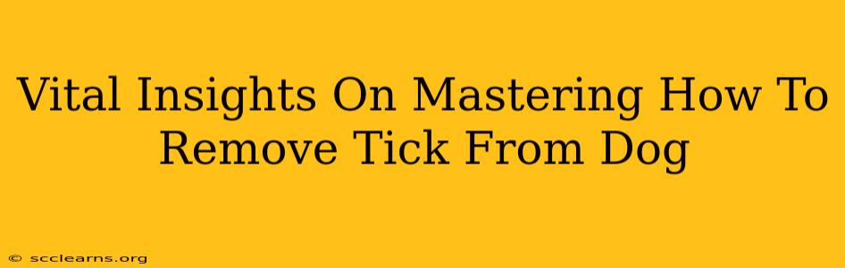 Vital Insights On Mastering How To Remove Tick From Dog