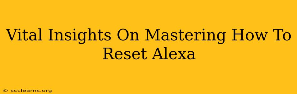 Vital Insights On Mastering How To Reset Alexa