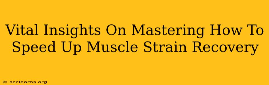 Vital Insights On Mastering How To Speed Up Muscle Strain Recovery