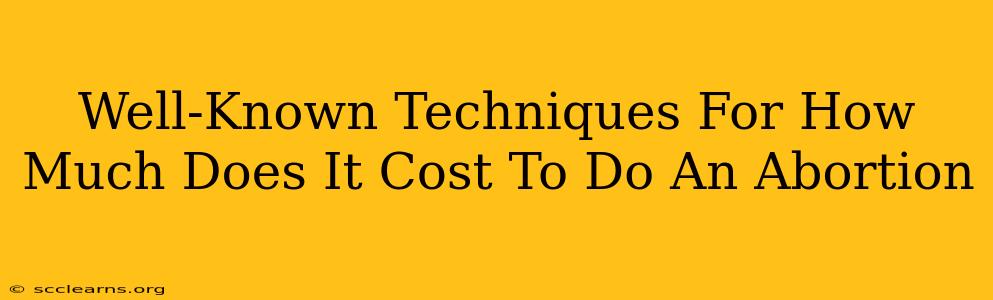 Well-Known Techniques For How Much Does It Cost To Do An Abortion