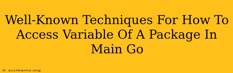 Well-Known Techniques For How To Access Variable Of A Package In Main Go