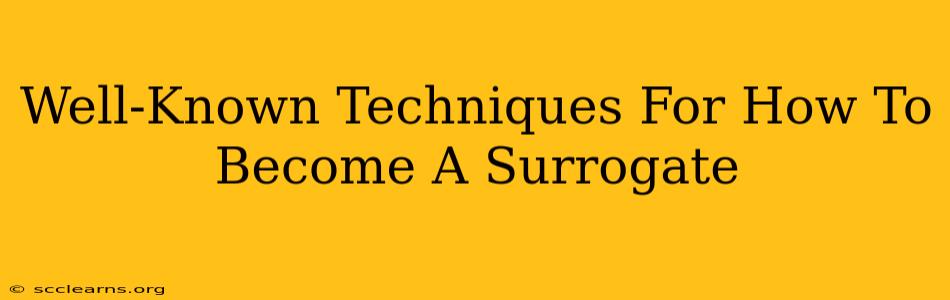 Well-Known Techniques For How To Become A Surrogate