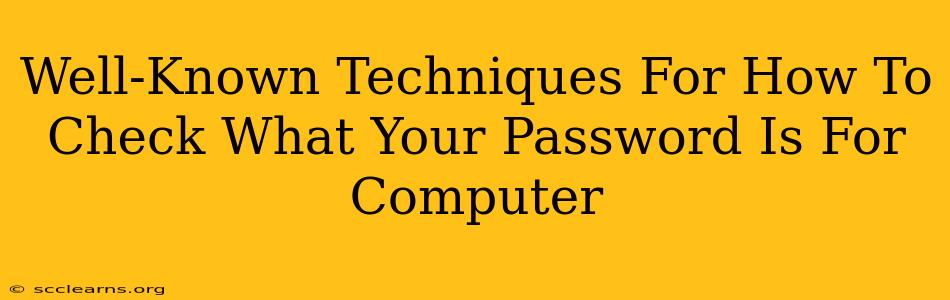 Well-Known Techniques For How To Check What Your Password Is For Computer