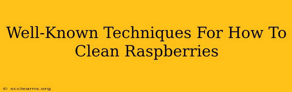 Well-Known Techniques For How To Clean Raspberries