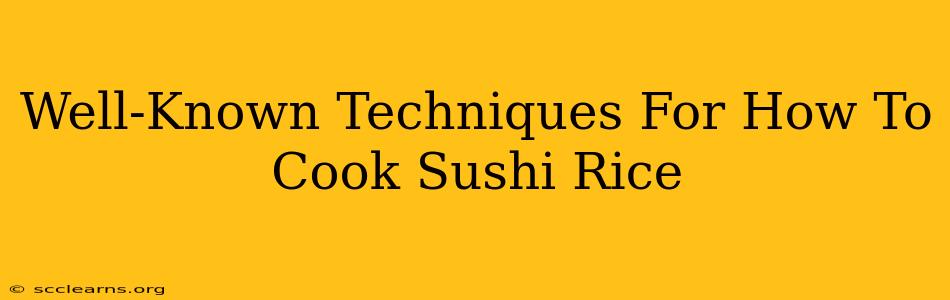 Well-Known Techniques For How To Cook Sushi Rice