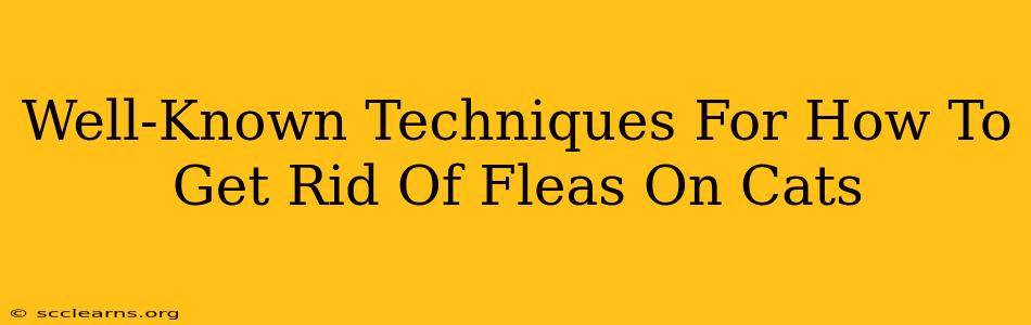 Well-Known Techniques For How To Get Rid Of Fleas On Cats