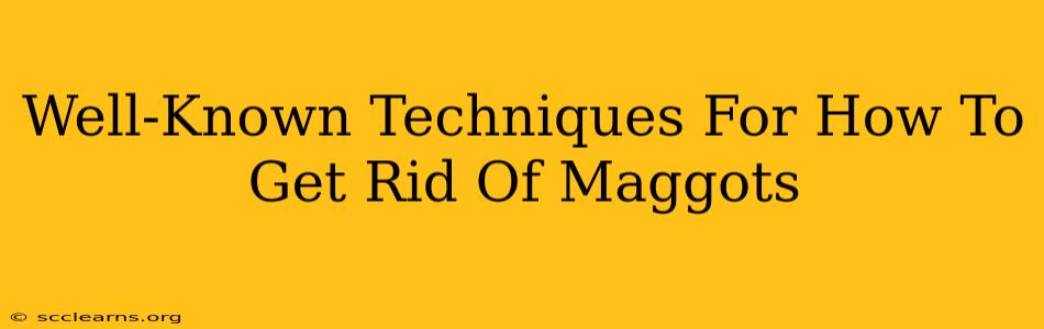 Well-Known Techniques For How To Get Rid Of Maggots