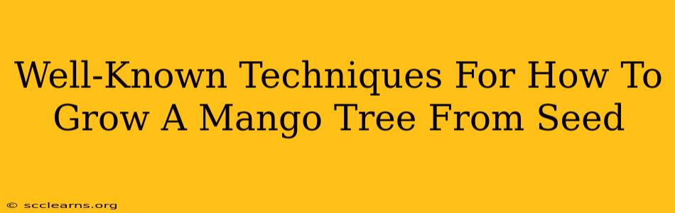 Well-Known Techniques For How To Grow A Mango Tree From Seed