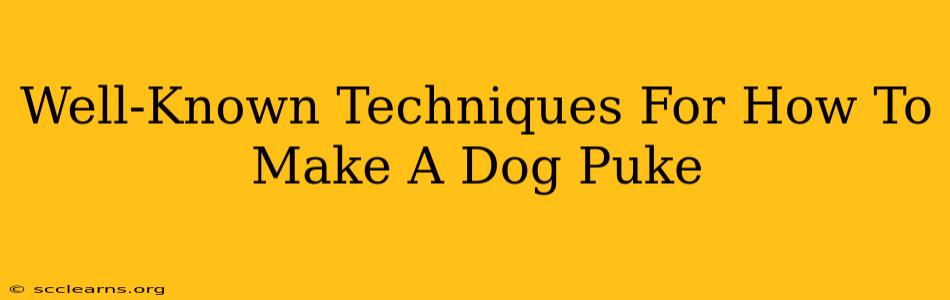 Well-Known Techniques For How To Make A Dog Puke