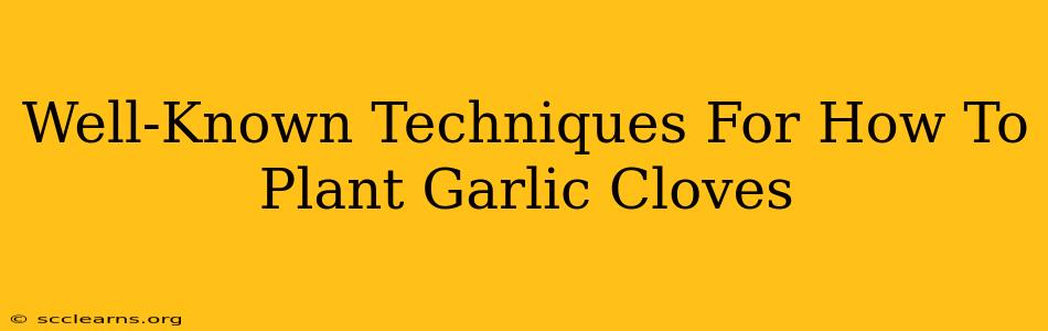 Well-Known Techniques For How To Plant Garlic Cloves