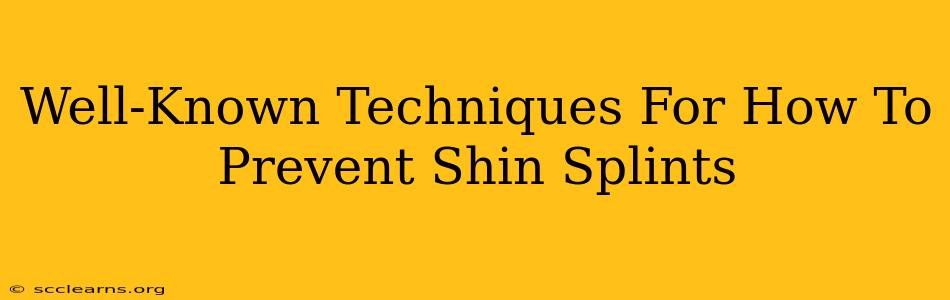 Well-Known Techniques For How To Prevent Shin Splints