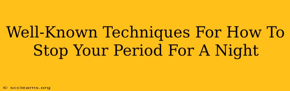 Well-Known Techniques For How To Stop Your Period For A Night