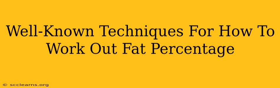 Well-Known Techniques For How To Work Out Fat Percentage